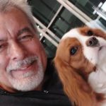 Estudo brasileiro propõe nova abordagem para tornar mais seguro o transporte aéreo de cães e gatos braquicefálicos