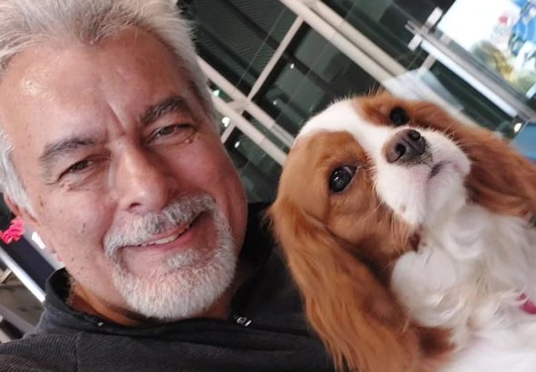 Estudo brasileiro propõe nova abordagem para tornar mais seguro o transporte aéreo de cães e gatos braquicefálicos