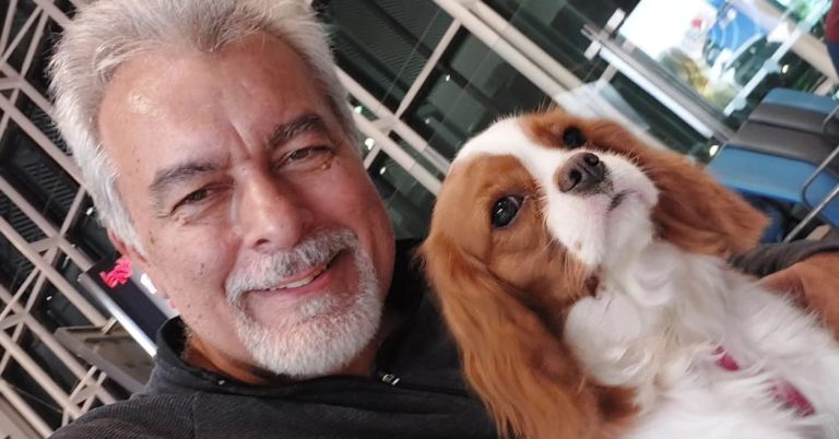 Estudo brasileiro propõe nova abordagem para tornar mais seguro o transporte aéreo de cães e gatos braquicefálicos
