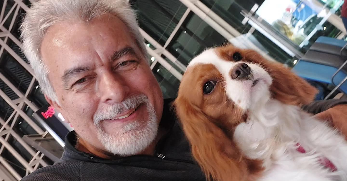Estudo brasileiro propõe nova abordagem para tornar mais seguro o transporte aéreo de cães e gatos braquicefálicos